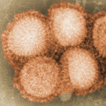 H1N1 a hoax for the ages?