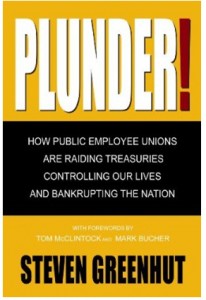 Plunder: How Public Employee Unions Are Raiding Treasuries Controlling our Lives and Bankrupting the Nation