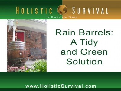 rain-barrel