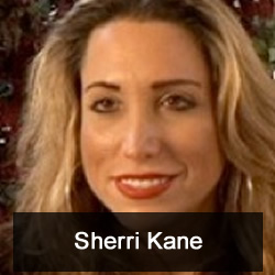 HS 335 – FBF – The War on We the People by Big Business with Sherri Kane